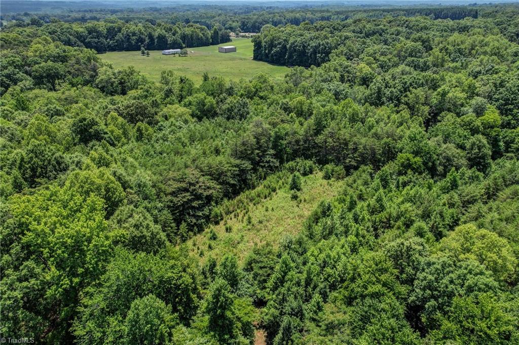 0000 Nc Highway 135 Property Photo 8