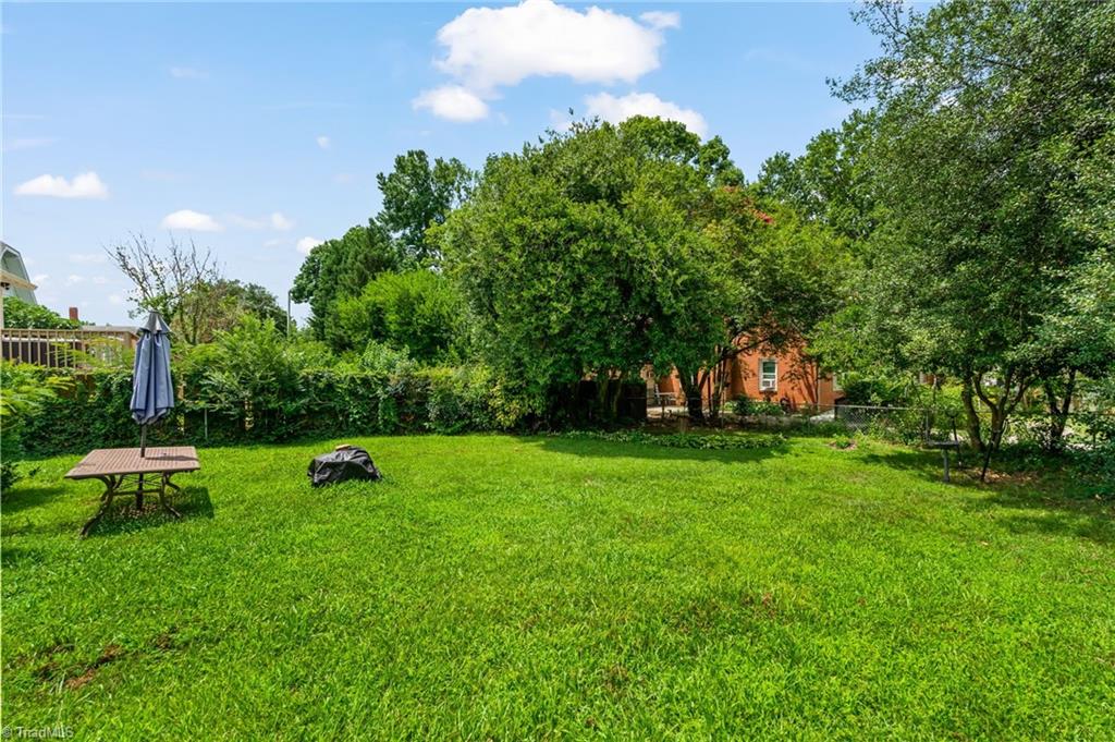 813 Carrick Street Property Photo 33