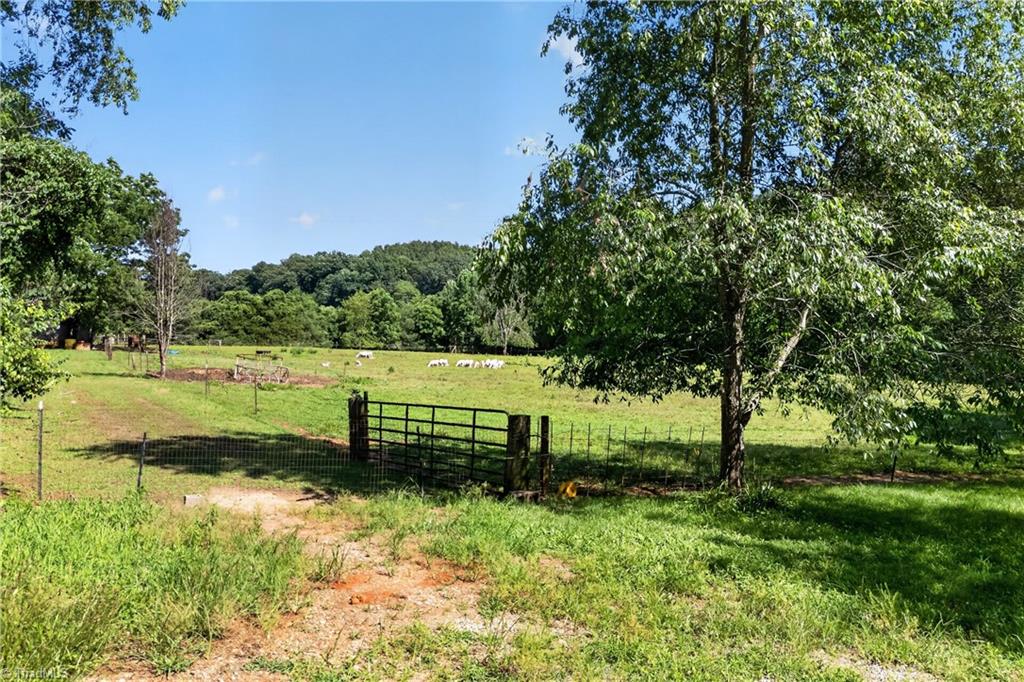 138 Eagle Valley Trail Property Photo 7