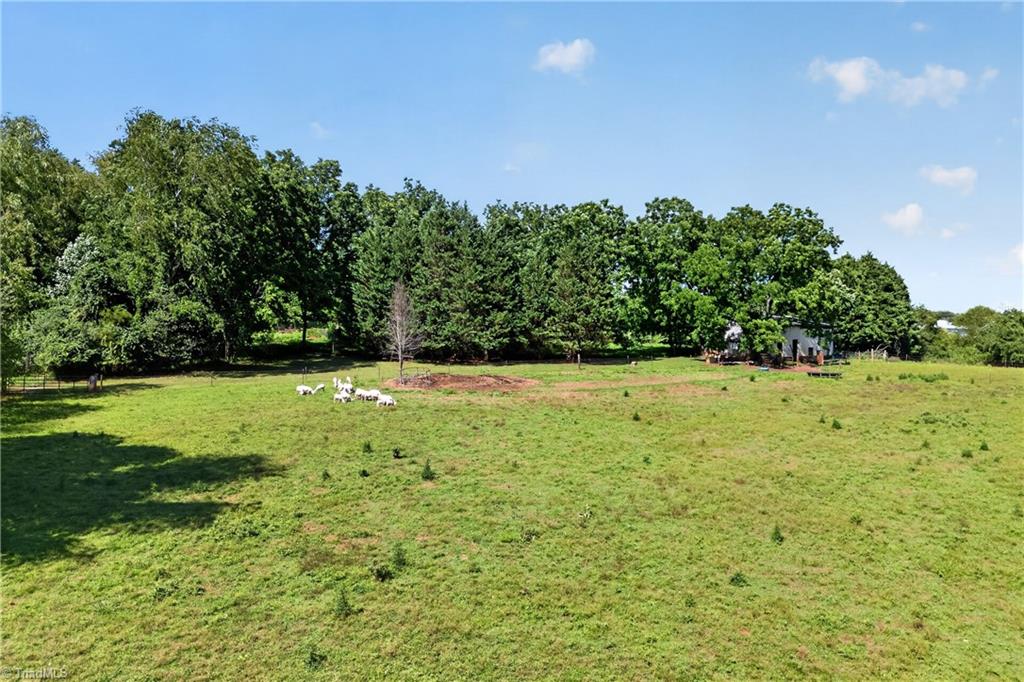 138 Eagle Valley Trail Property Photo 33