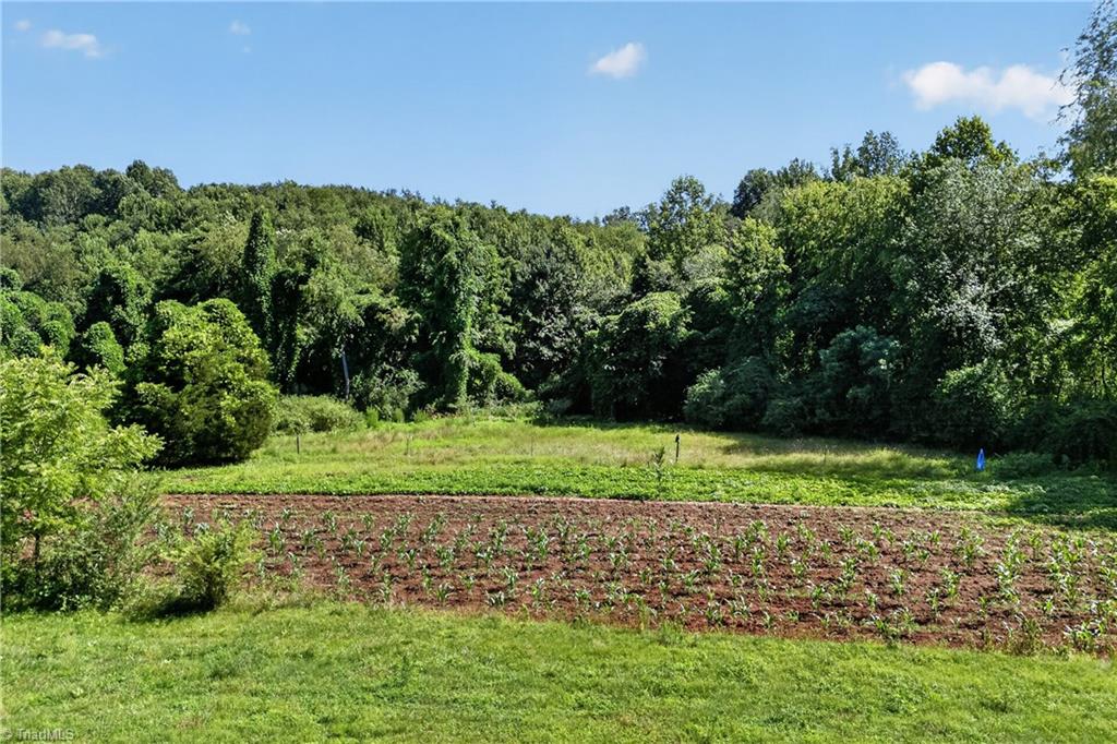 138 Eagle Valley Trail Property Photo 41