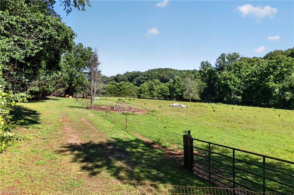 138 Eagle Valley Trail Property Photo 43