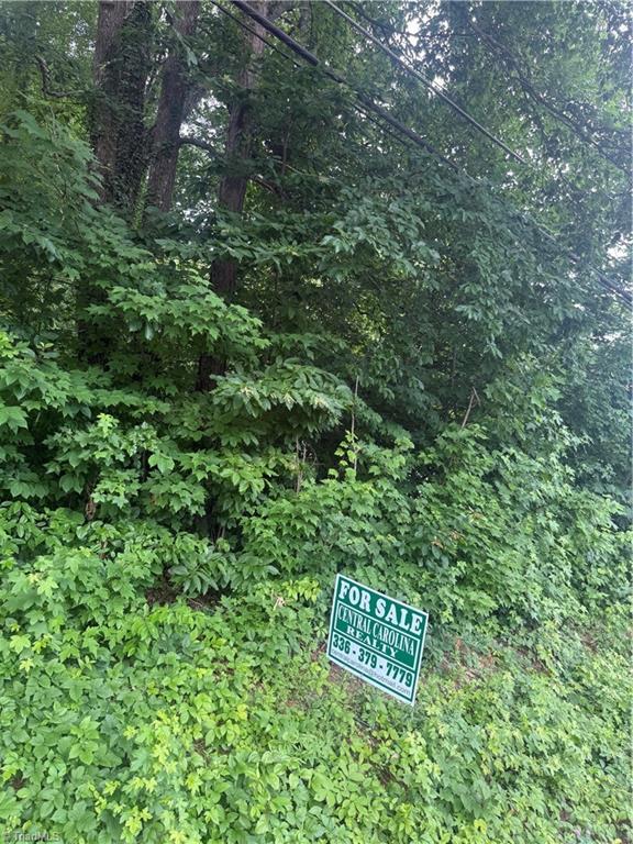 00 Martin Luther King Jr Drive Property Photo 2