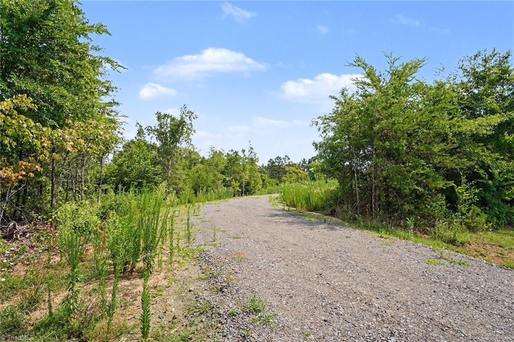 01 Pineville Road Property Photo 3