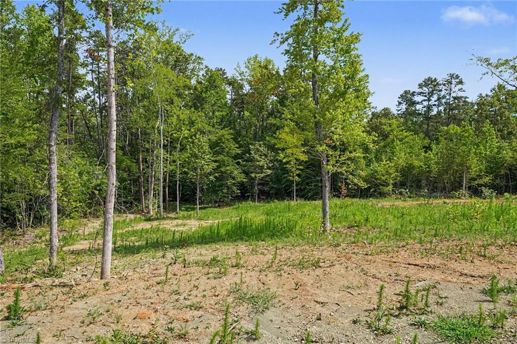 01 Pineville Road Property Photo 8
