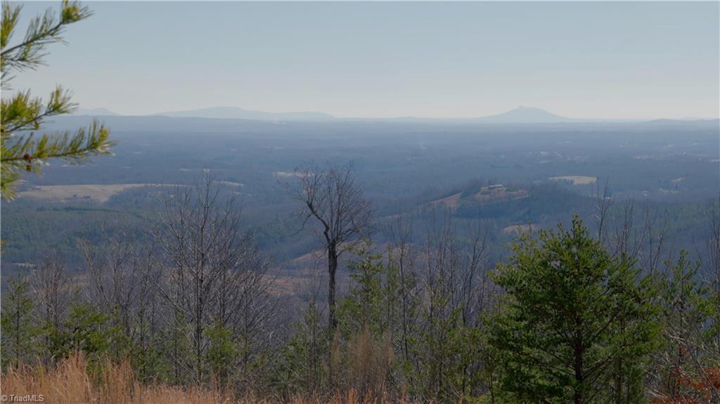 337 Goat House Road Property Photo 13