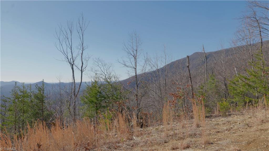 337 Goat House Road Property Photo 15