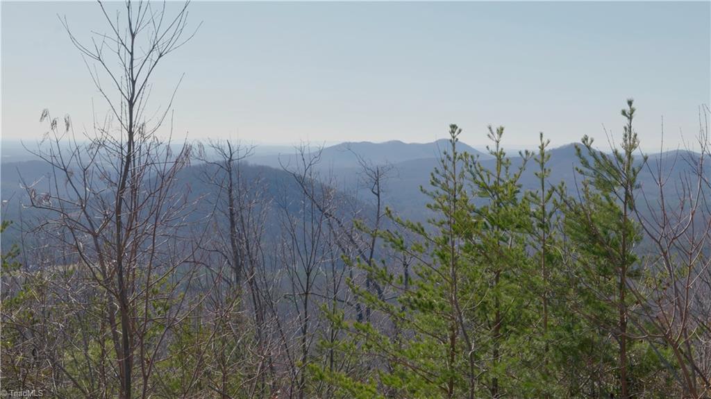 337 Goat House Road Property Photo 16