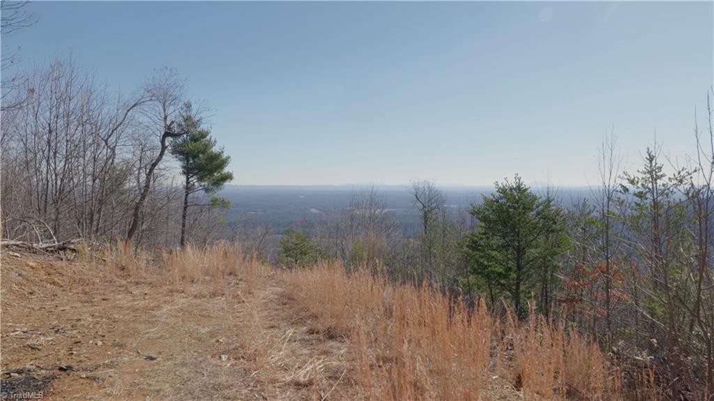 337 Goat House Road Property Photo 17