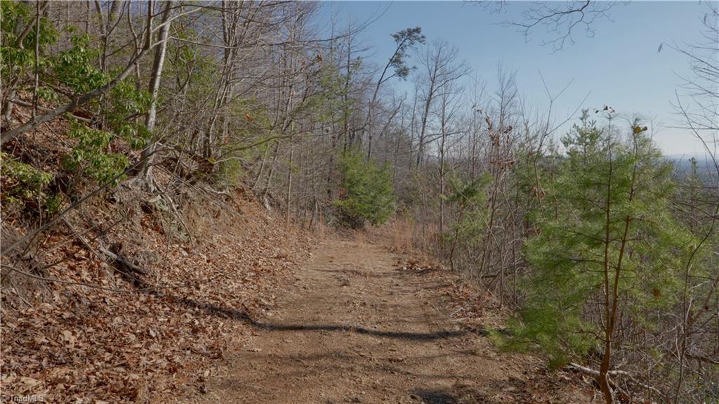 337 Goat House Road Property Photo 18