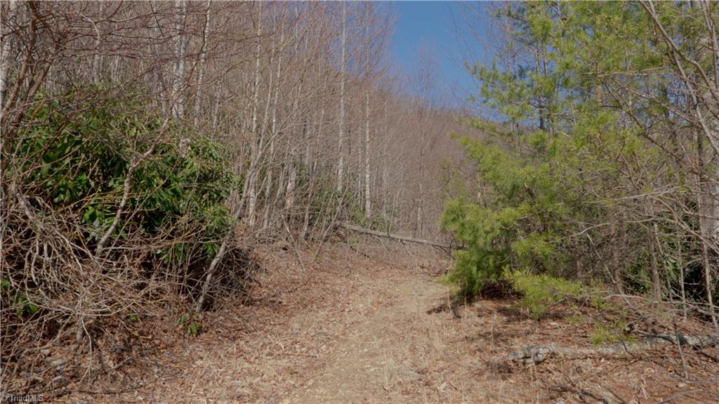 337 Goat House Road Property Photo 19