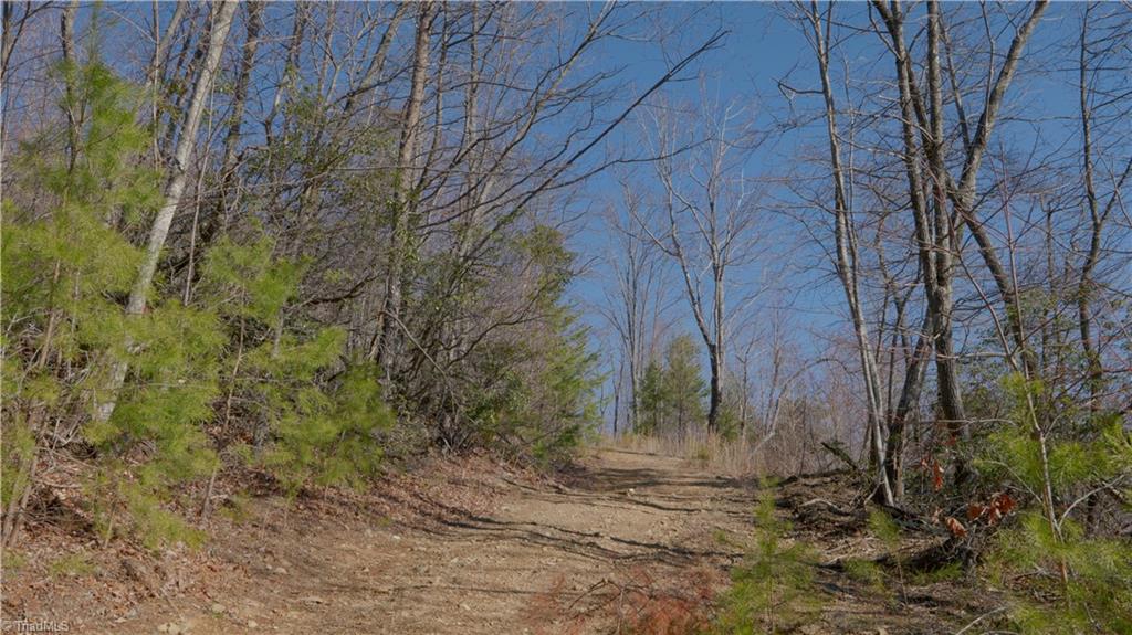 337 Goat House Road Property Photo 20