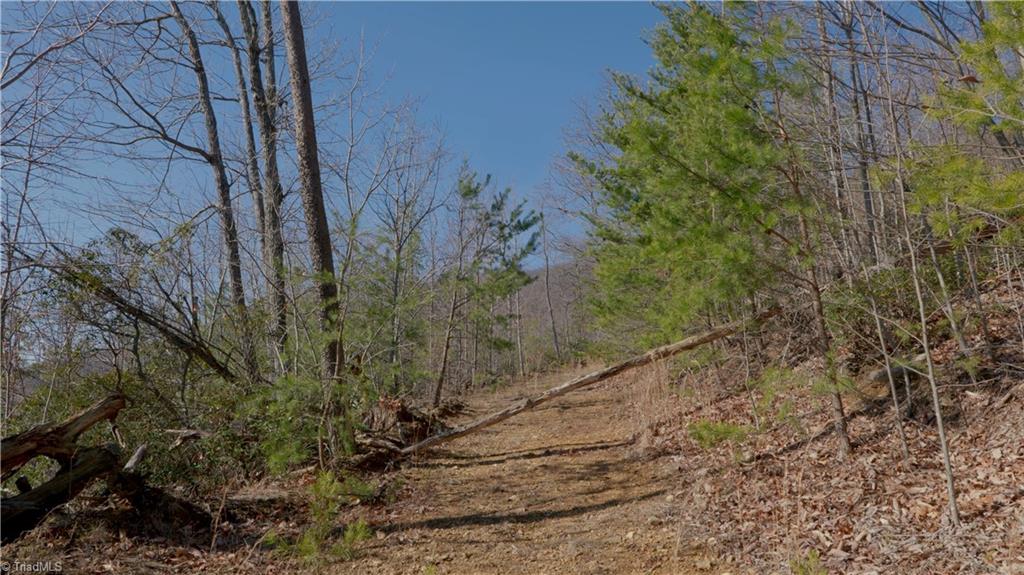 337 Goat House Road Property Photo 21