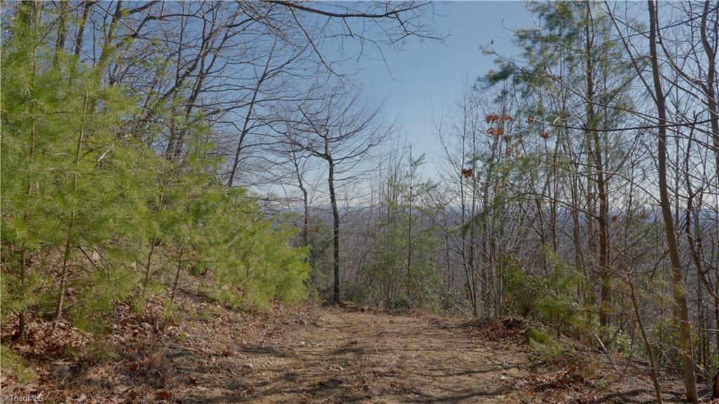 337 Goat House Road Property Photo 22