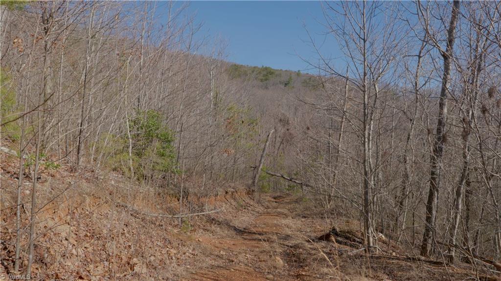 337 Goat House Road Property Photo 23