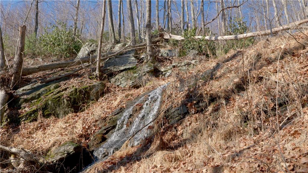 337 Goat House Road Property Photo 25