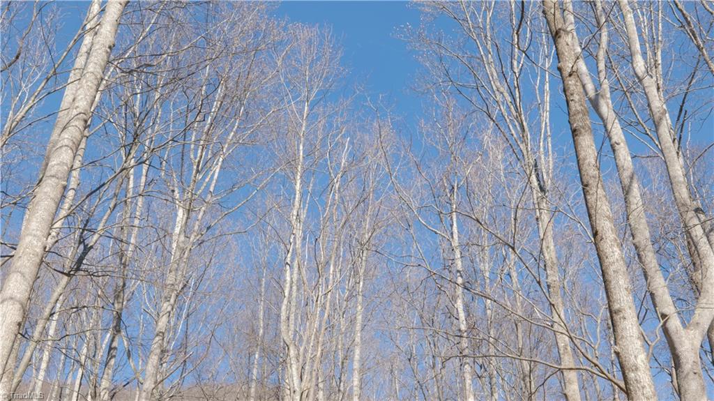 337 Goat House Road Property Photo 29