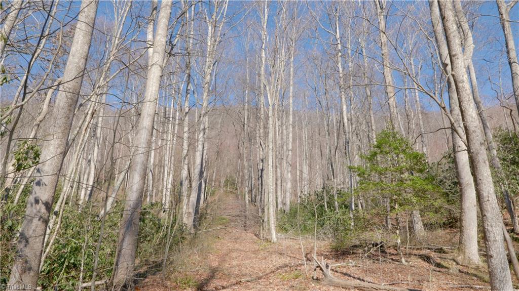 337 Goat House Road Property Photo 30