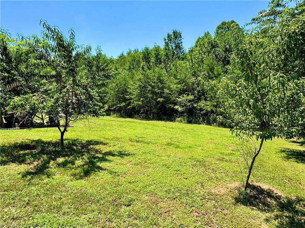 243 Hunter Ridge Lane Property Photo 28