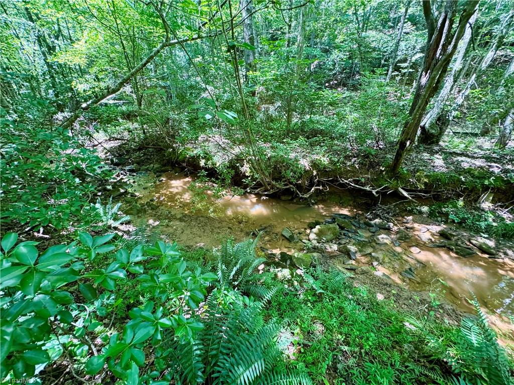243 Hunter Ridge Lane Property Photo 30