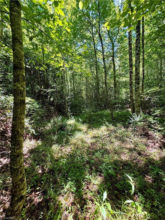 243 Hunter Ridge Lane Property Photo 33