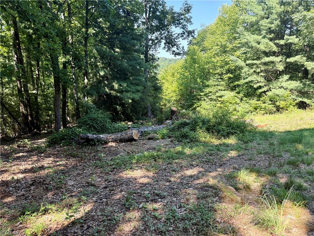 900 Smokey Mtn Trail Property Photo 21
