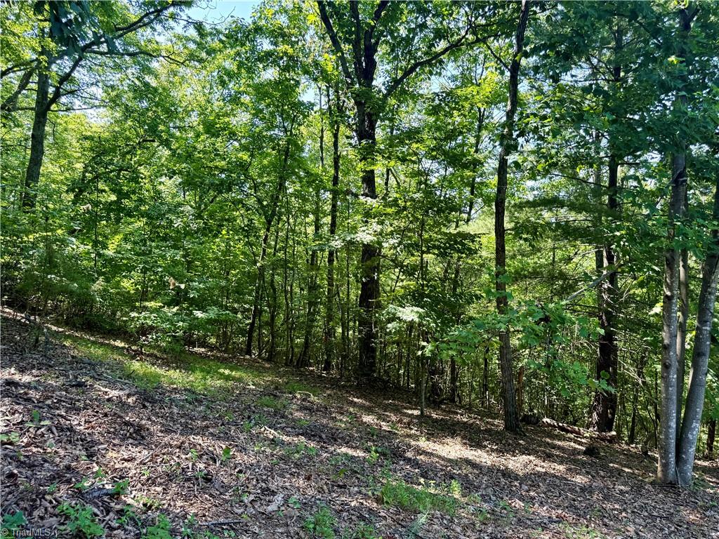 900 Smokey Mtn Trail Property Photo 22