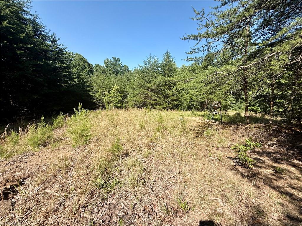 900 Smokey Mtn Trail Property Photo 24