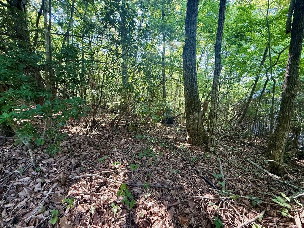 900 Smokey Mtn Trail Property Photo 26