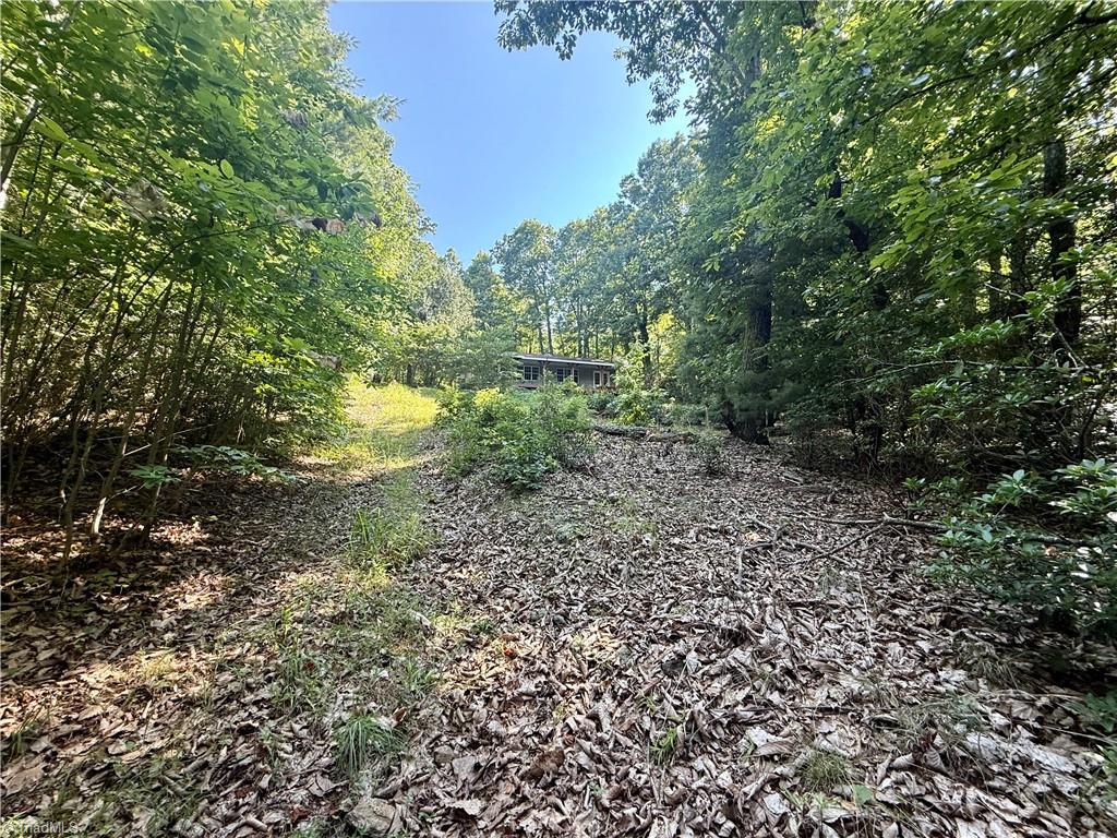 900 Smokey Mtn Trail Property Photo 27