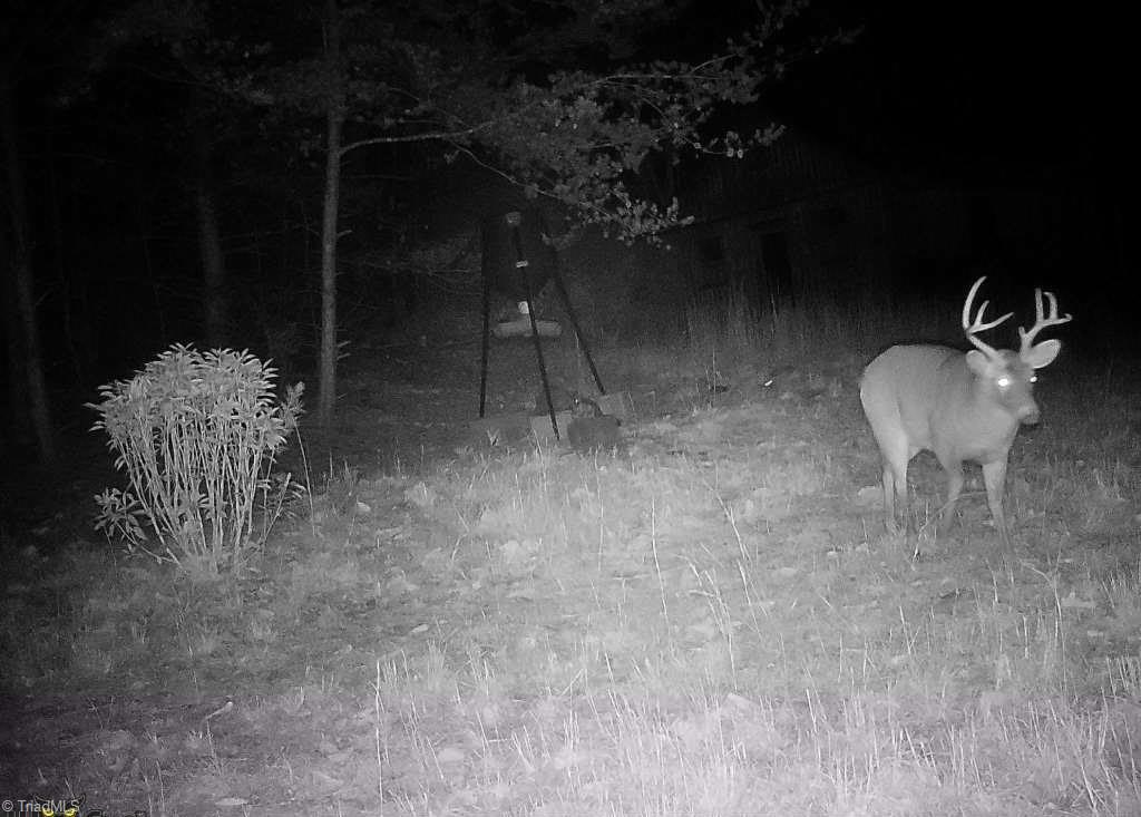900 Smokey Mtn Trail Property Photo 36