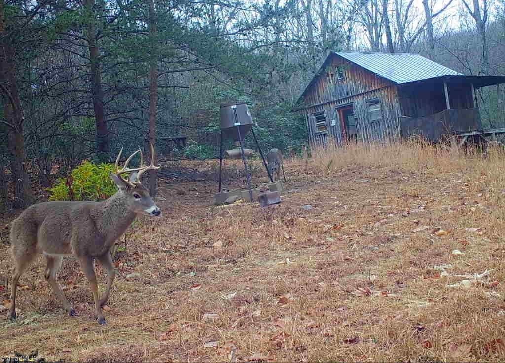 900 Smokey Mtn Trail Property Photo 37