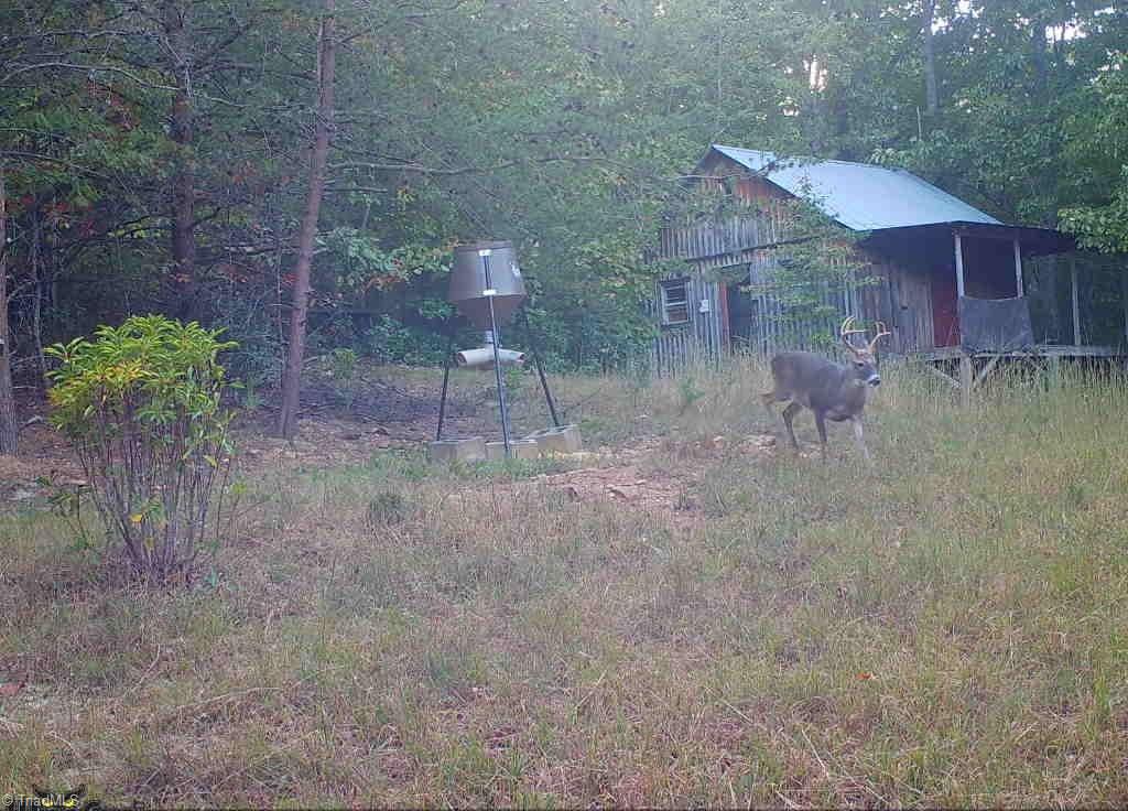 900 Smokey Mtn Trail Property Photo 38