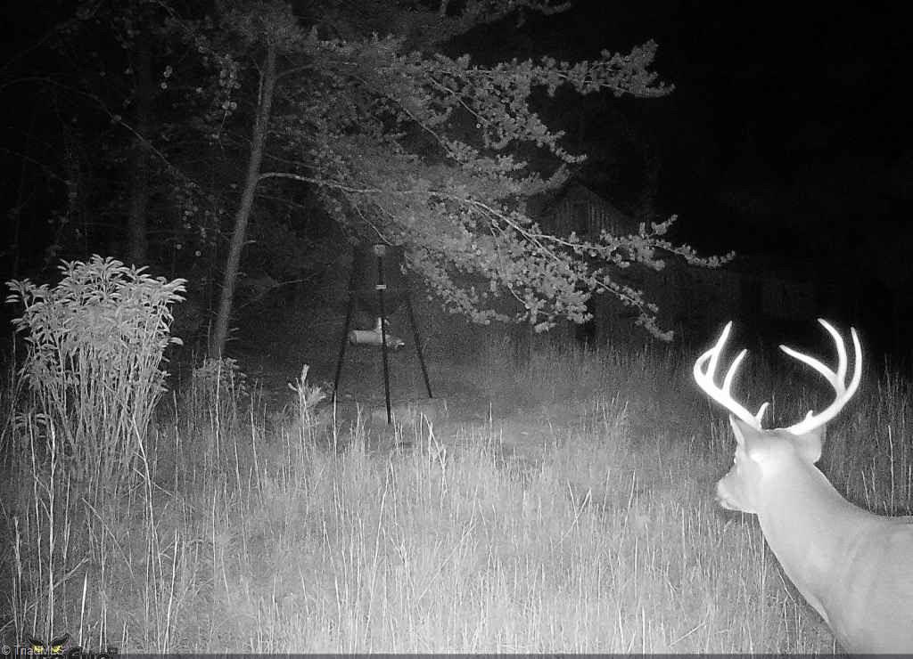 900 Smokey Mtn Trail Property Photo 39