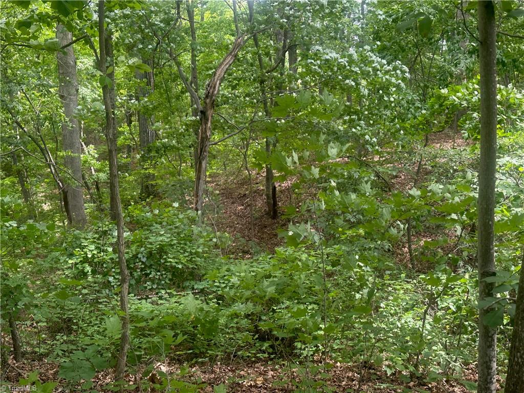 159 Richard Drive Property Photo 10