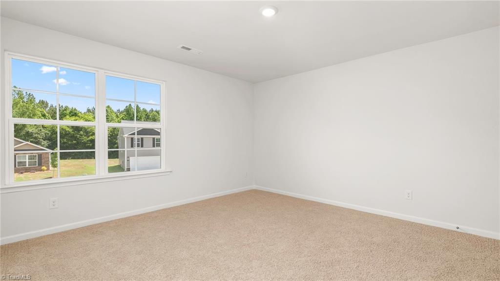 437 Owens Ridge Way Property Photo 11