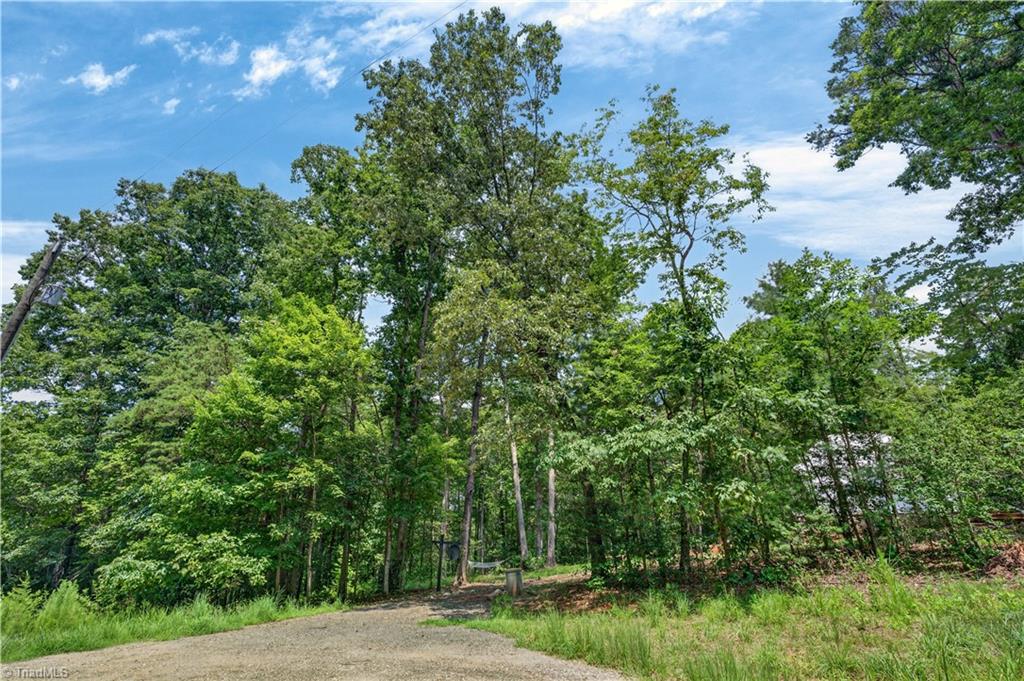 1005 Brewer Mill Road Extension Property Photo 17