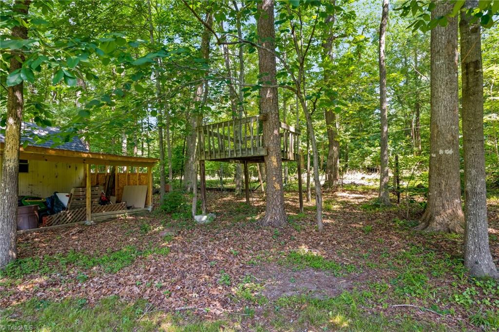 601 Burning Bush Drive Property Photo 10