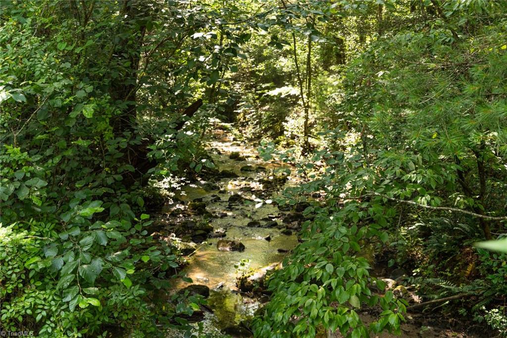0000 Boone Trail Property Photo 2