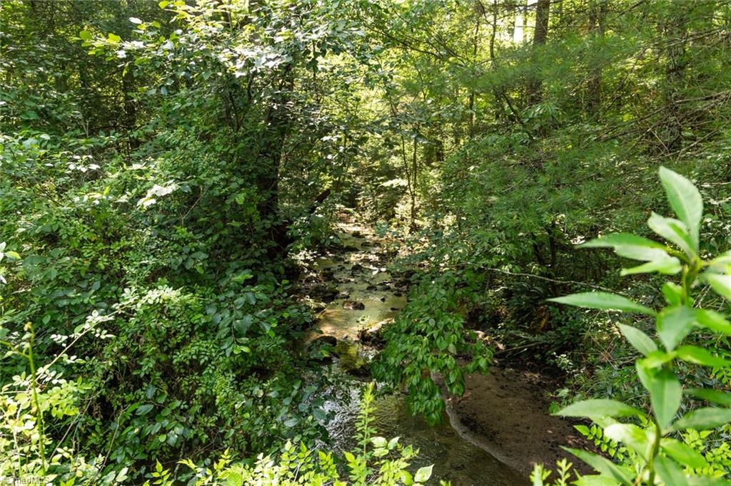 0000 Boone Trail Property Photo 14