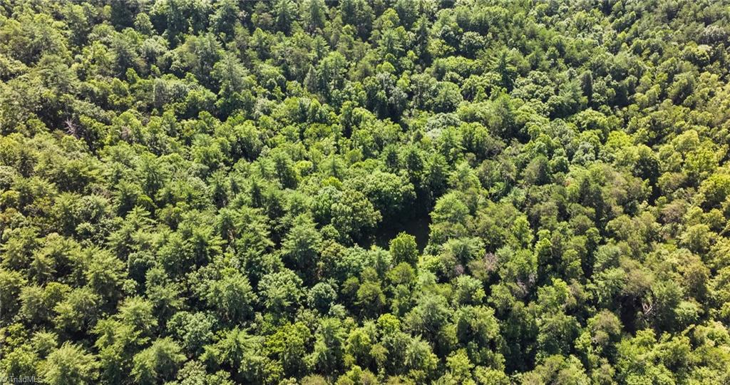 0000 Boone Trail Property Photo 39