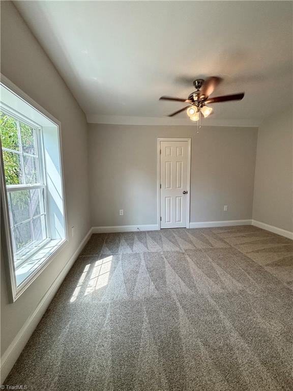 311 Culbreth Avenue Property Photo 14