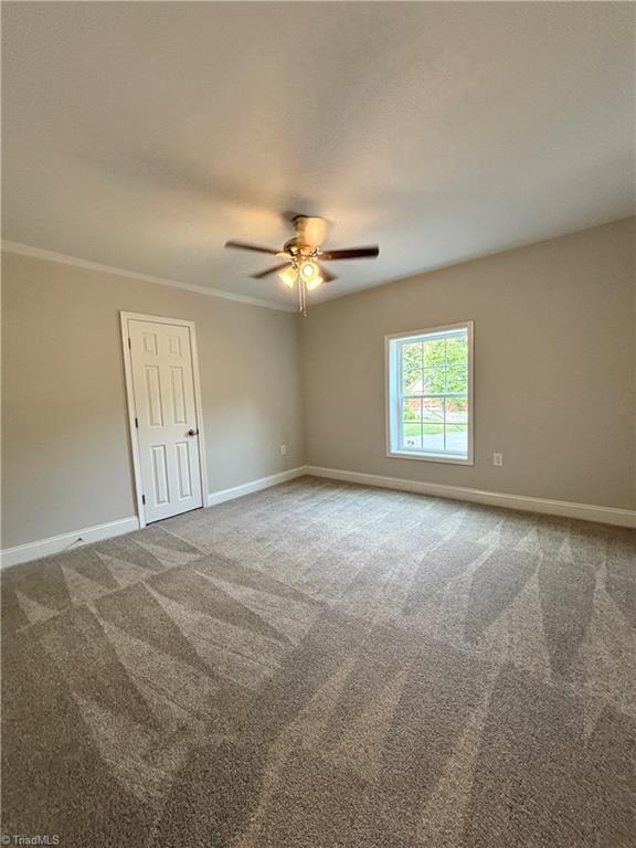 311 Culbreth Avenue Property Photo 15