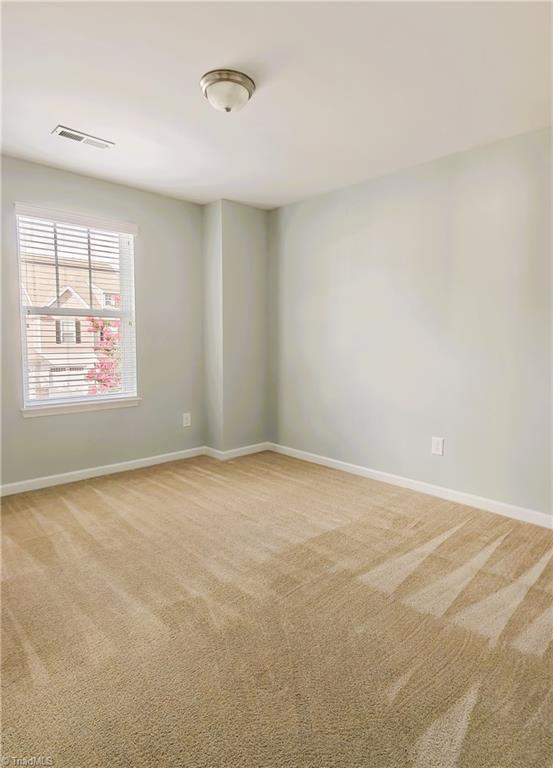109 Tilleys Grove Drive Property Photo 27