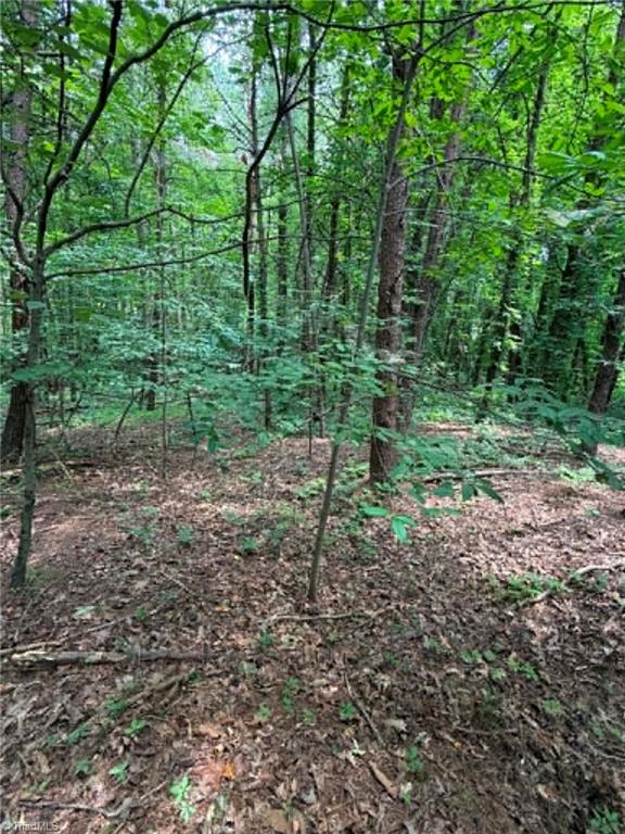 0 J P Lynch Road Property Photo 5