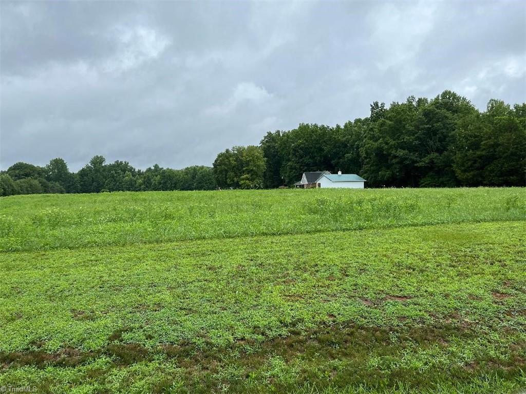 443 Arthur Tussey Road Property Photo 17