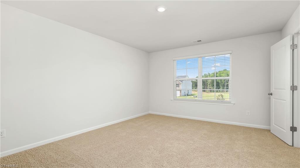 1105 Slingshot Drive Property Photo 14