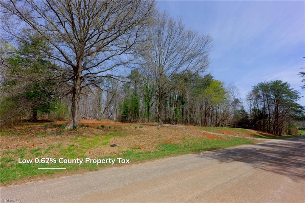 0 Johnson Farm Road # 2 Property Photo 2