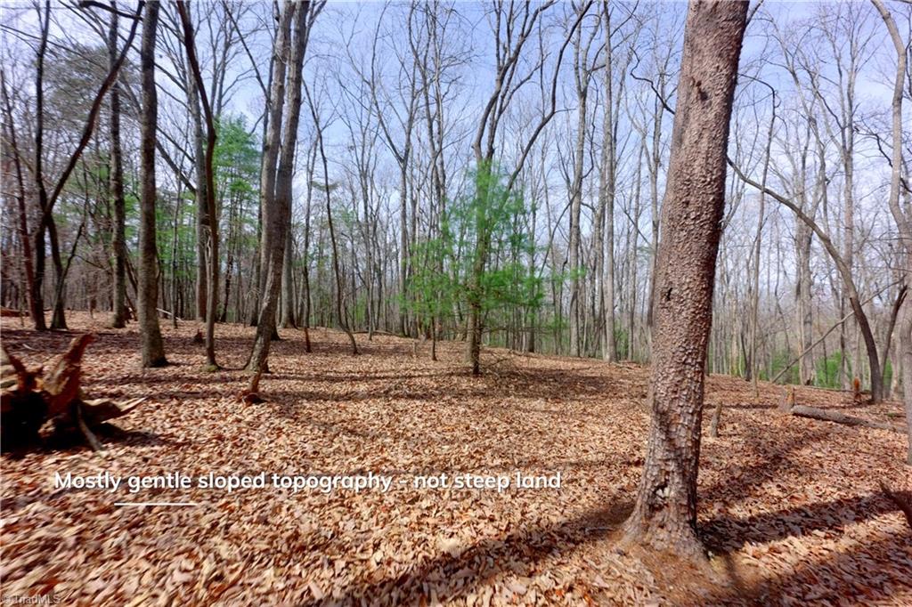 0 Johnson Farm Road # 2 Property Photo 3