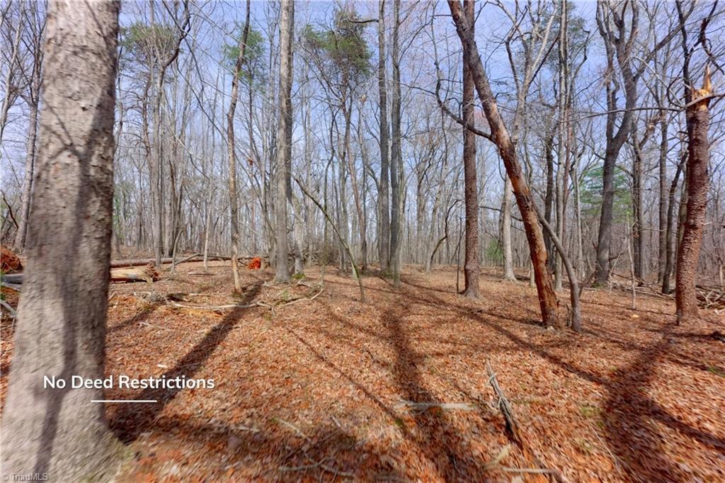 0 Johnson Farm Road # 2 Property Photo 4